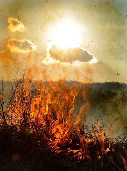 Вогонь у лісовій галявині — стокове фото