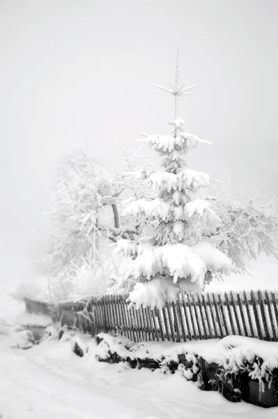 Invierno brumoso en la aldea de transcárpata — Foto de Stock