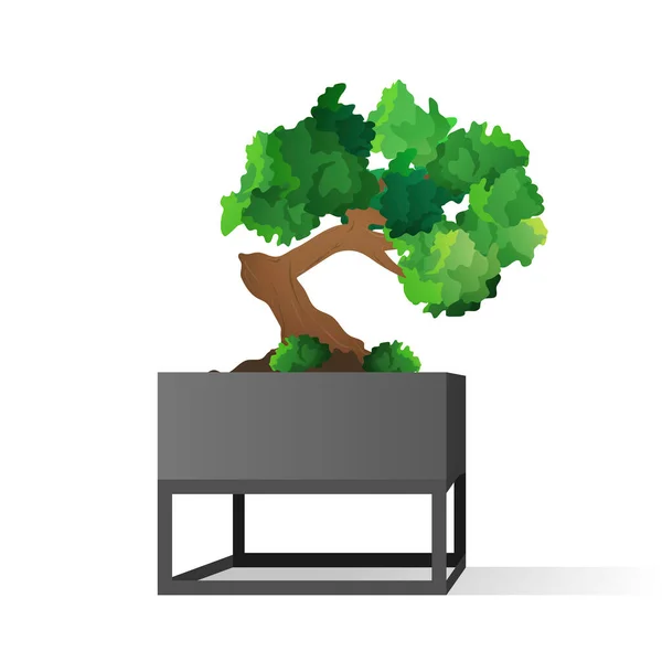Ein Kleiner Baum Topf Zimmerpflanze Isoliert Auf Weißem Hintergrund Vektorillustration — Stockvektor
