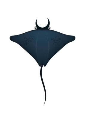 Manta vatozu dalış yapan hayvan balığı. Gerçekçi bir tarz. İzole vektör illüstrasyonu.