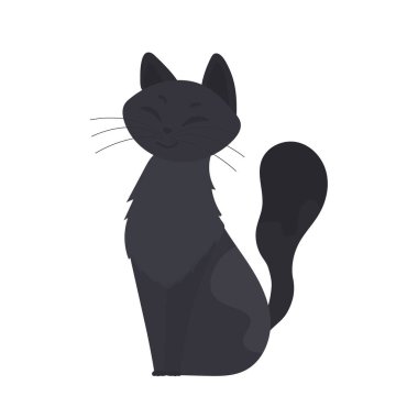 Siyah kedi beyaz arka planda izole edilmiş