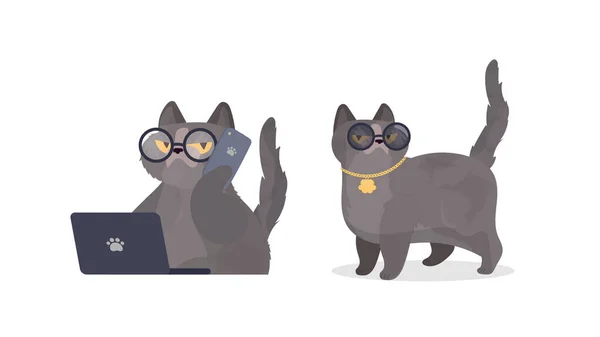 ラップトップベクトルのイラストデザインの猫 — ストックベクタ