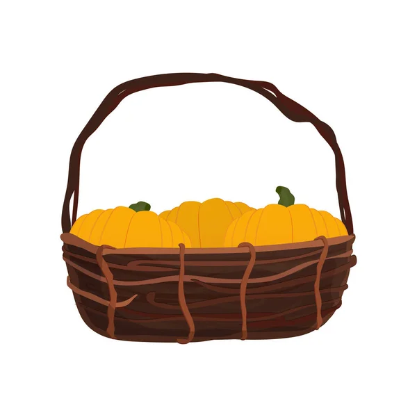 Autumn Harvest Pumpkins Vector Illustration — Stock Vector