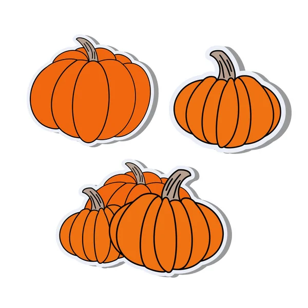 Vector Illustration Set Pumpkins — Stock Vector