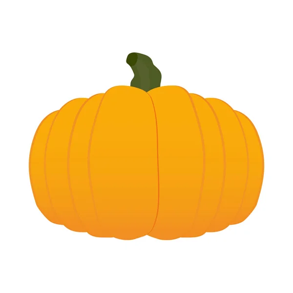 Icône Citrouille Illustration Dessin Animé Icônes Vectorielles Halloween Pour Web — Image vectorielle