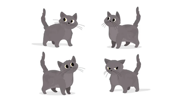 vektör kedi kümesi