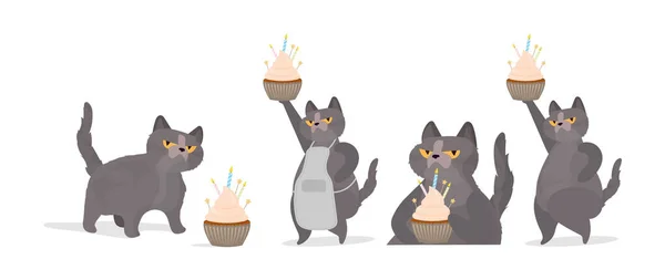 Bonito Desenho Animado Gato Com Aniversário Bolo Vetor Ilustração —  Vetores de Stock