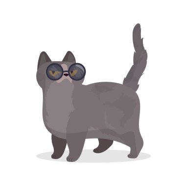 Şirin kedi. vektör illüstrasyonu