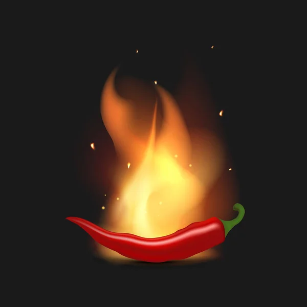 Red Hot Peppers Fire Chili Peppers Flames Realistic Style Vector — Stock Vector