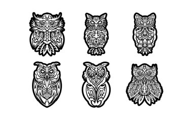 Baykuş baskısı. Samoa ve Hawaii desenleri. Tişörtler, bardaklar, telefon kılıfları ve daha fazlası için iyi. Vektör illüstrasyonu.