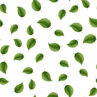 Yeşil gerçekçi yaprakları olan kusursuz bir desen. Menüler, kartpostallar, kitaplar, duvar resimleri ve kumaş için iyi. Vektör illüstrasyonu.