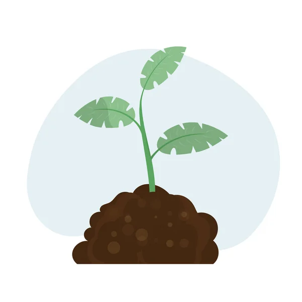 Keimlinge Keimen Aufgeschütteten Erdreich Junger Baum Der Boden Wächst Landwirtschaftlicher — Stockvektor