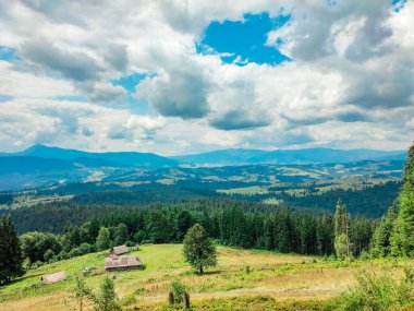 Yazın dağ manzarası. Yeşil iğneli çam ormanı. Bir kayayla dağ yamacı. Gökyüzü puslu. Yaz turizmi kavramı.