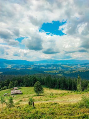 Yazın dağ manzarası. Yeşil iğneli çam ormanı. Bir kayayla dağ yamacı. Gökyüzü puslu. Yaz turizmi kavramı.