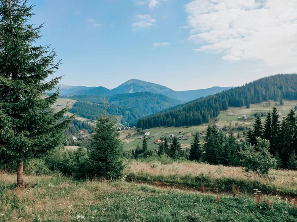 Paisaje Forestal Verde Atmosférico Con Abetos Las Montañas Escenario Minimalista — Foto de Stock