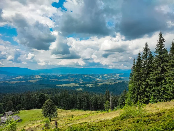 Berglandschaft Sommer Kiefernwald Mit Grünen Nadeln Berghang Mit Einem Felsen — Stockfoto