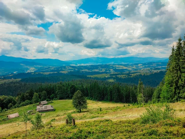 Berglandschaft Sommer Kiefernwald Mit Grünen Nadeln Berghang Mit Einem Felsen — Stockfoto