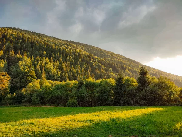 Atmosferik yeşil orman manzarası ve dağlarda fırtınalar. Kenarları kozalaklı ormanı ve hafif sisli kayaları olan minimalist bir manzara..
