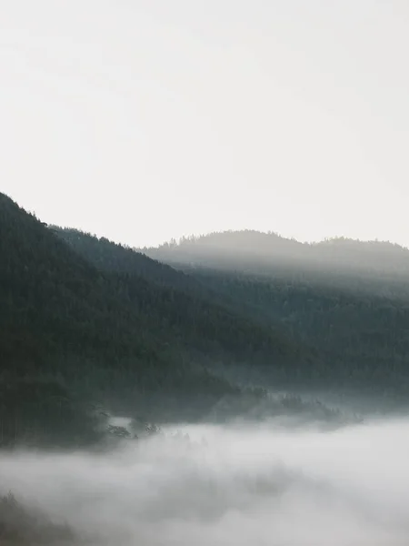 Vista Paisagem Nebulosa Montanha Início Manhã — Fotografia de Stock