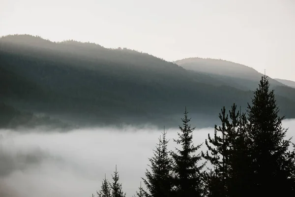 View of the foggy mountain landscape in the early morning