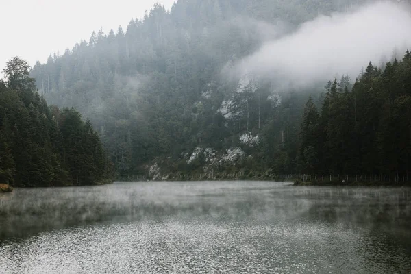 Mlhavé Časné Ráno Horském Jezeře — Stock fotografie