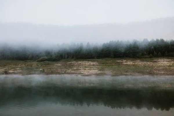 Ομιχλώδης Νωρίς Πρωί Στη Λίμνη Του Βουνού — Φωτογραφία Αρχείου