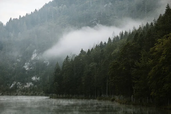 Туман Рано Вранці Гірському Озері — стокове фото