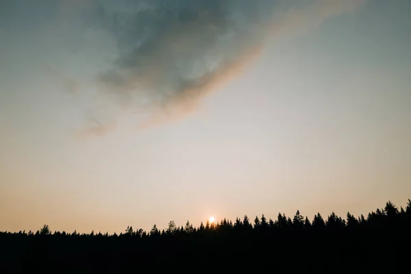 Piękny Zachód Słońca Nad Lasem Sosnowym — Zdjęcie stockowe