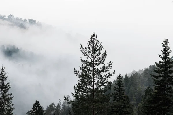 Туманная Горная Цепь Ранним Утром — стоковое фото