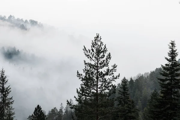 Misty Mountain Range Early Morning Stock Image