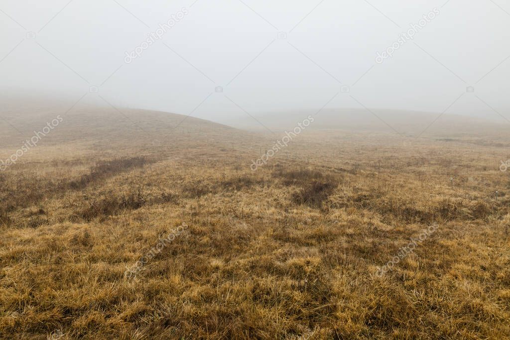 View of the misty meadow in the winter morning