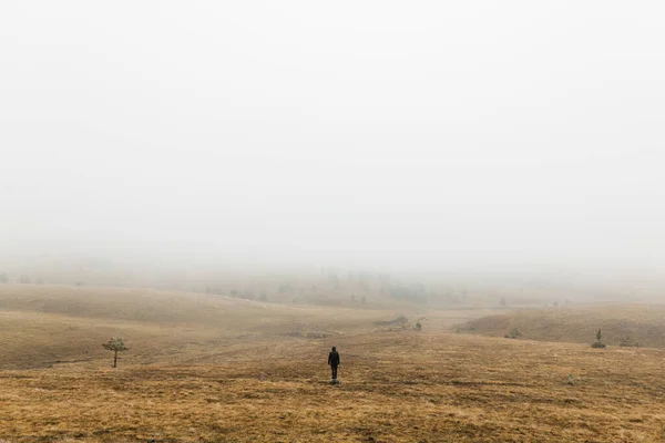 Jovem Explorando Natureza Uma Manhã Chuvosa Inverno Nas Montanhas — Fotografia de Stock