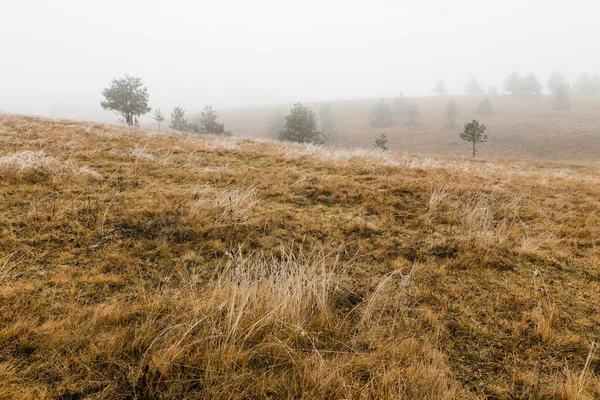 Vista Bela Paisagem Montanhosa Manhã Inverno — Fotografia de Stock