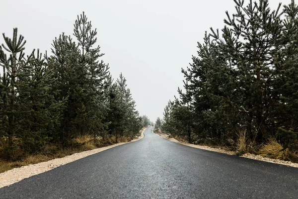 Empty Mountain Road Autumn Overcast Day — Stock Photo, Image