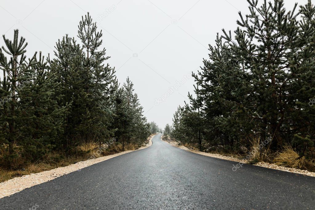Empty mountain road in autumn overcast day