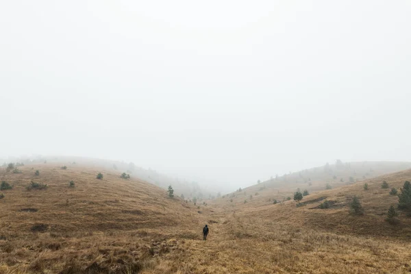 Jovem Explorando Natureza Uma Manhã Chuvosa Inverno Nas Montanhas — Fotografia de Stock