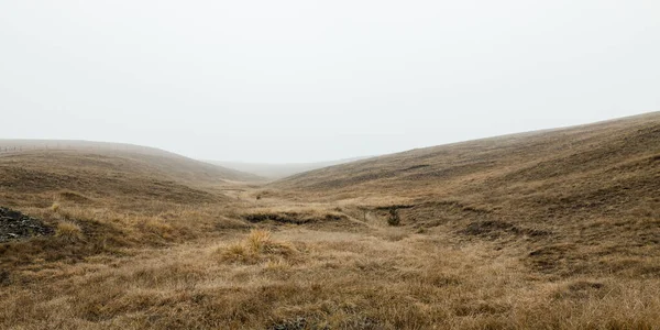 Вид Туманный Луг Зимнее Утро — стоковое фото