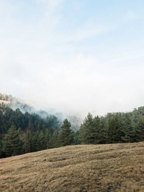 Dağların sisli manzarası
