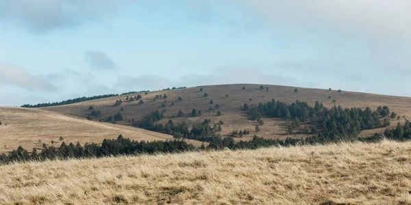 Hillside Meadow Mountains Stock Photo