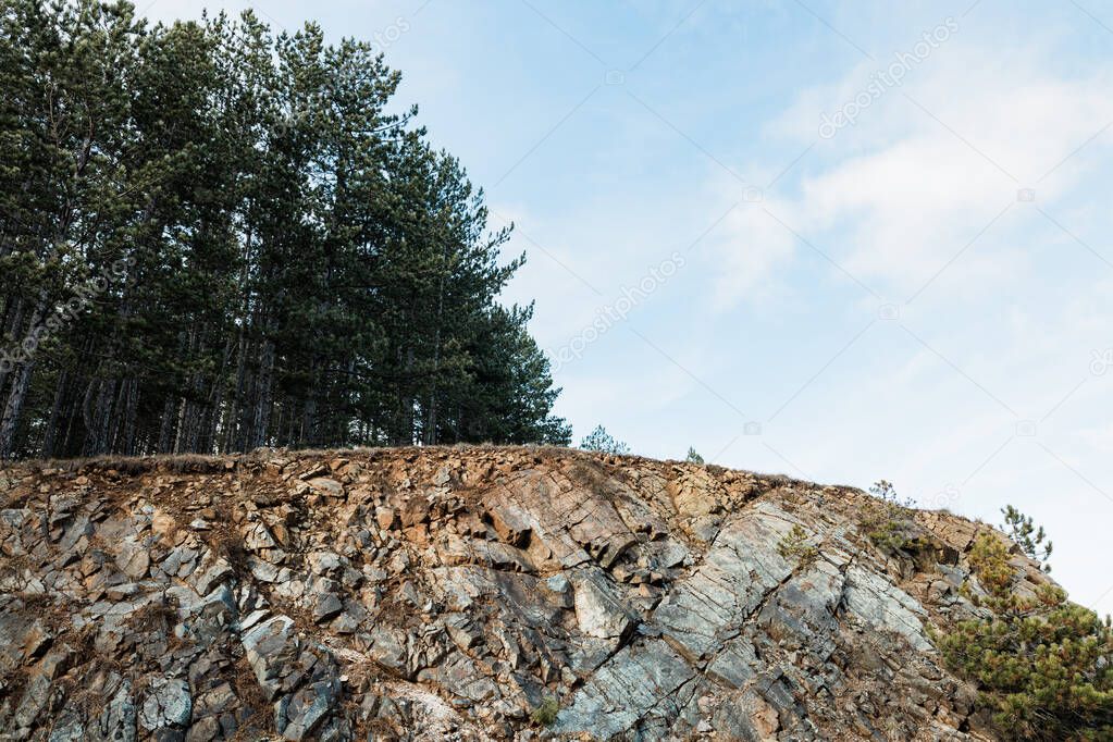 Rocky landscape of the forest in the mountains