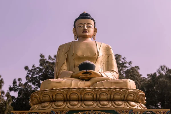 stock image Golden statue of Buddha at Buddha Park, Swayambhunath, Kathmandu, Nepal