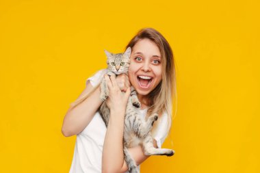 Beyaz tişörtlü, elinde kedi olan güzel beyaz tenli, heyecanlı bir sarışın kadın, parlak sarı arka planda izole edilmiş haberden memnun. Heyecanlı genç kız ve kedi yavrusu