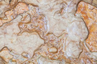 Pürüzsüz parlak Rock doku