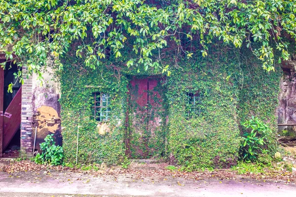 Ruinen Haus mit Laub bedeckt — Stockfoto