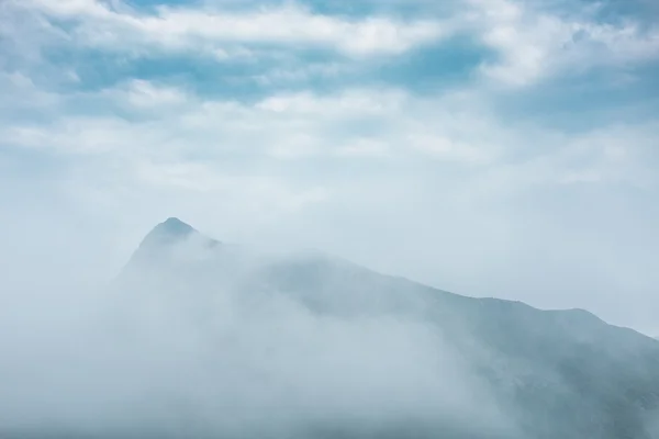 Puslu dağ baharı — Stok fotoğraf