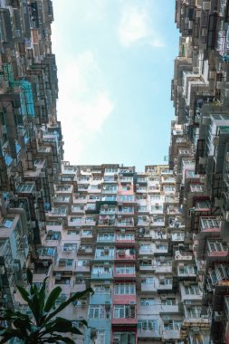 Canavar Malikanesi 'nin inanılmaz öngörüsü, Hong Kong' un simgesi..