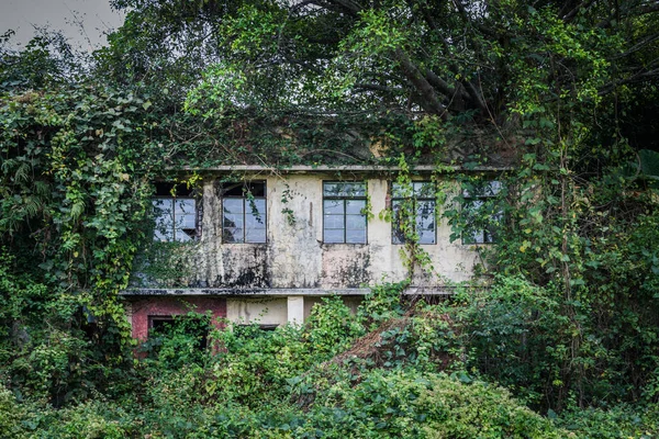 Opuštěný Starý Dům Pokrytý Listím Zelení Krajina Hongkongu Denní Čas — Stock fotografie