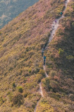 Dağdaki patika boyunca yürüyen insanlar. Sai Kung, Hong Kong