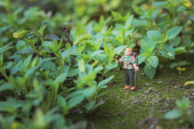 Orman macerası kavramı. Çimenlerde, açık havada, makro çekimde minyatür sırt çantası modeli