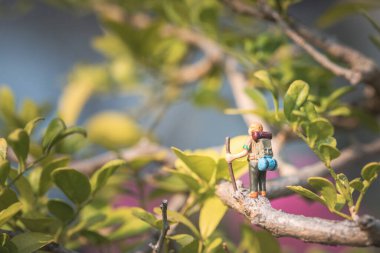 Çılgın macera kavramı, ağaçta minyatür yürüyüş modeli, gündüz, makro çekim.